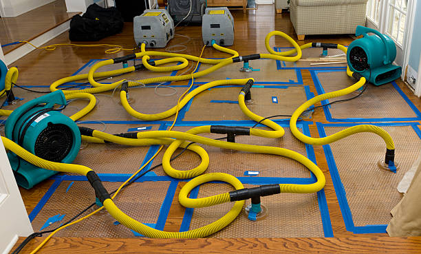 Professional Crawl Space Water Removal technician working in Trail, OR
